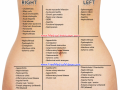 Abdominal-Pain-Differential-Diagnosis-Medical-Institution-Best-Medical-Website-1