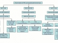 Anemia Differential Diangnosis - Medical Institution