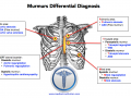 Heart Murmurs Differential Diagnosis - Medical Institution
