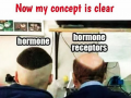 Hormone and Hormone receptor easy concept.