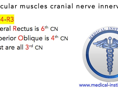 Extraocular Muscles Cranial Nerve Innervation Mnemonic