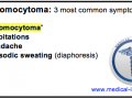 Pheochromocytoma Mnemonic
