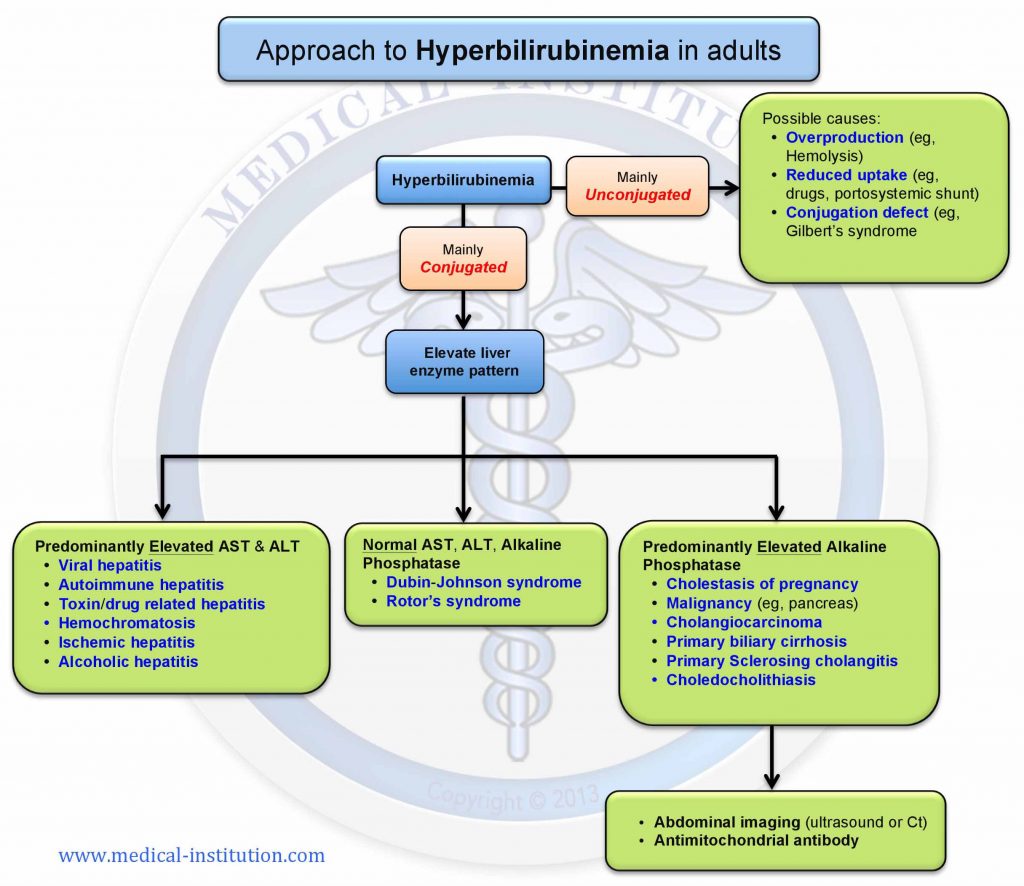 Hyperbilirubinemia Differential Diagnosis Medical Institution
